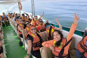 DESDE LIMA: DÍA COMPLETO PARACAS - ICA