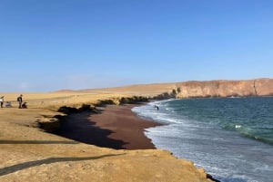 DESDE LIMA: DÍA COMPLETO PARACAS - ICA