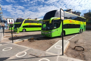 Прямой спальный автобус Пуно Арекипа