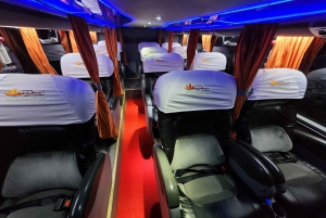 Прямой спальный автобус Пуно Арекипа