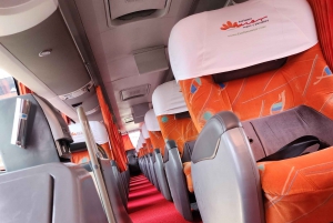 Прямой спальный автобус Пуно Арекипа