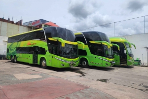 Прямой спальный автобус Пуно Арекипа