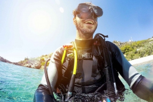 Mancora: Dive & Discover - Diving