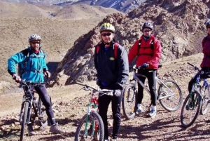 Tour de Downhill - Mountain Bike em Arequipa