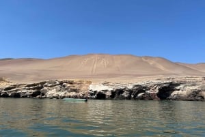 Epic dagstur Paracas & Huacachina - Dagstur från Lima