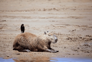 Excursion 3 days/2 nights in the jungle