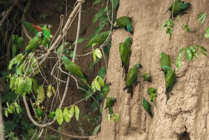 Excursion 3 days/2 nights in the jungle