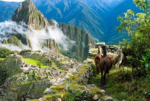 Excursion Cusco - Machu Picchu 3 Days + Hotel 3 star