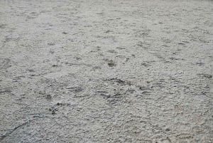 Utflukt: Lagunen og nasjonalreservatet Salinas og Aguada Blanca i Arequipa.