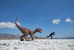 Utflukt: Lagunen og nasjonalreservatet Salinas og Aguada Blanca i Arequipa.