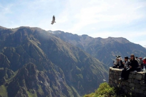 Excursão ao Canyon de Colca, terminando em Puno