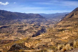 Excursão ao Canyon de Colca, terminando em Puno