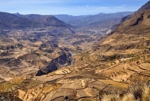 Excursion to the Colca Canyon ending in Puno