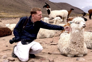 Escursione alla Riserva Nazionale di Salinas e Aguada Blanca