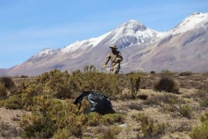 Escursione alla Riserva Nazionale di Salinas e Aguada Blanca