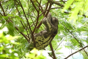 Experience Madre de Dios Amazon Reserve-Inkaterra 3-day tour