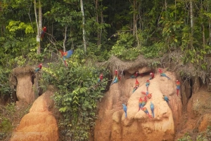 Experience Madre de Dios Amazon Reserve-Inkaterra 3-day tour