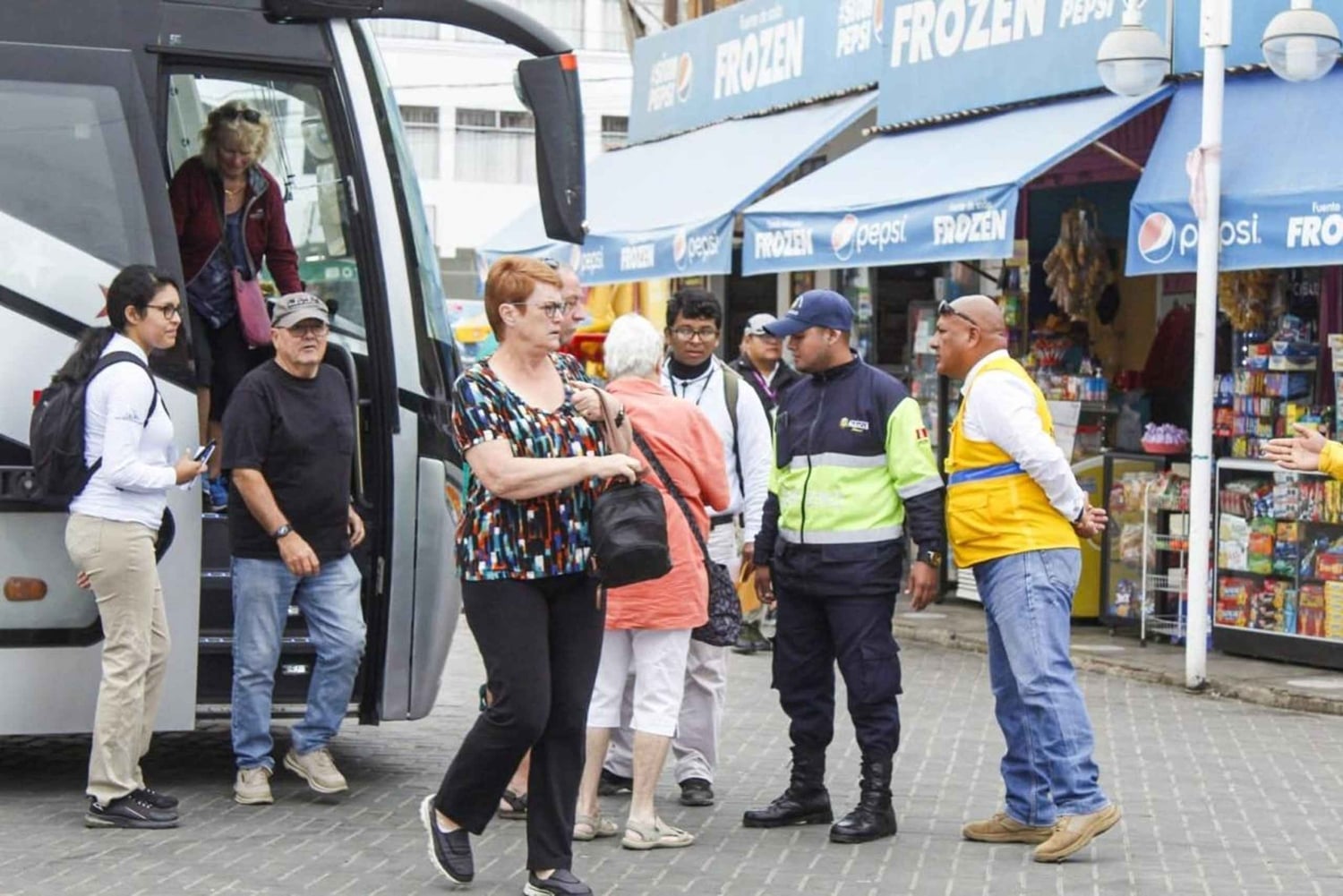 Utforsk Paracas og Ica: Avreise fra San Martin havn