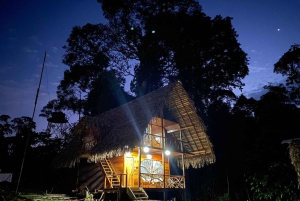 Explorez Yasuní : escapade de 4 jours et 3 nuits en chambre standard