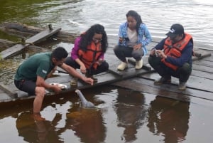 Explorez Yasuní : escapade de 4 jours et 3 nuits en chambre standard