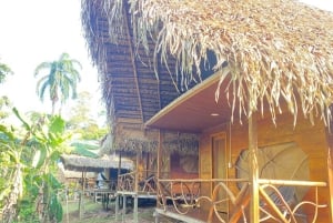 Explorez Yasuní : escapade de 4 jours et 3 nuits en chambre standard