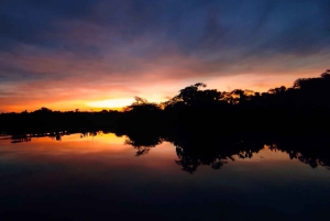 Explore Yasuní: 4-Day, 3-Night Getaway in a Standard Room