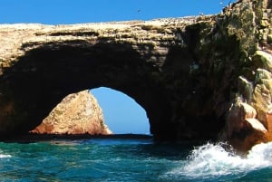 Erkunde die Insel Ballestas und das Paracas Reservat mit dem Quad