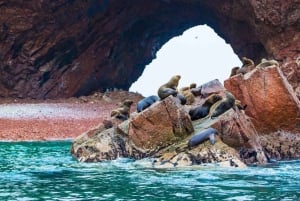 Erkunde die Insel Ballestas und das Paracas Reservat mit dem Quad