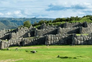 Exploring Cusco: City Tour Half Day
