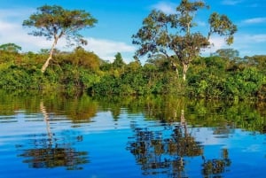 Explorando a Amazônia: Dia de aventura saindo de Iquitos
