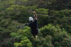 Esplorare la giungla | Zip line, Canopy e Kayak