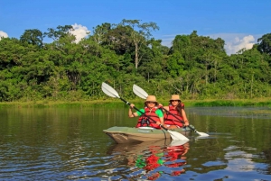 Exploration de la jungle : tyrolienne, canopée et kayak