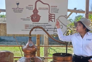 Smaken van Ica: traditie en moderniteit in een begeleide ervaring