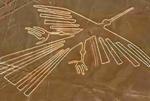Sobrevoe as Linhas de Nazca: Excursão particular de 1 dia saindo de Lima.