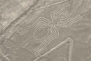 Sobrevoe as Linhas de Nazca: Excursão particular de 1 dia saindo de Lima.