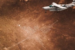 Sobrevoe as Linhas de Nazca: Excursão particular de 1 dia saindo de Lima.