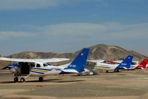 Sobrevoe as Linhas de Nazca: Excursão particular de 1 dia saindo de Lima.