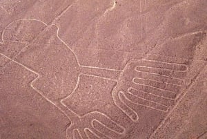 Sobrevoe as Linhas de Nazca: Excursão particular de 1 dia saindo de Lima.