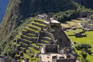 From Aguas Calientes: Machu Picchu Ticket, Guided Tour & Bus