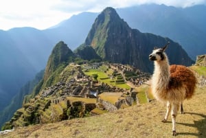 Fra Aguas Calientes: Machu Picchu-billet, guidet tur og bus