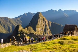 From Aguas Calientes: Machu Picchu Ticket & Guided Tour