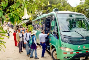 From Aguas Calientes: Round-Trip Bus Ticket to Machu Picchu