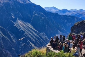 De Arequipa: Tour de 1 dia ao Canyon Colca com final em Puno