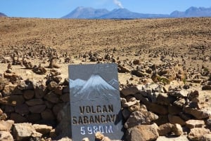 De Arequipa: Tour de 1 dia ao Canyon Colca com final em Puno
