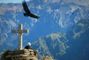 From Arequipa: 1-Day Colca Canyon Tour with Transfer to Puno