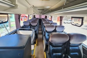 From Arequipa: 1-Day Colca Canyon Tour with Transfer to Puno