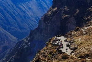 From Arequipa: 1-Day Guided Tour to Colca Canyon with Meals