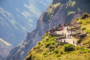 De Arequipa: Excursão de 2 dias ao Cânion do Colca com traslado para Puno