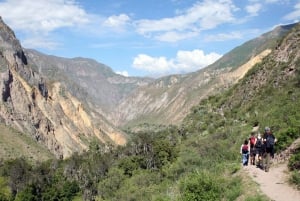 Fra Arequipa: 2-dagers rundtur i Colca Canyon med transfer til Puno