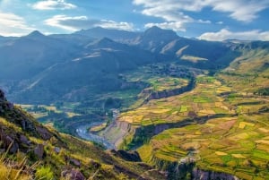 Da Arequipa: Tour di 2 giorni del Canyon del Colca con trasferimento a Puno